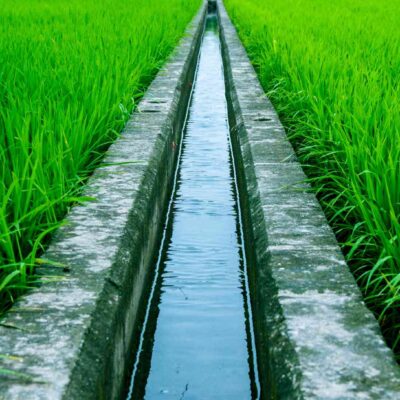 Irrigation Systems, Palm Beach County Gutter Drainage Contractors