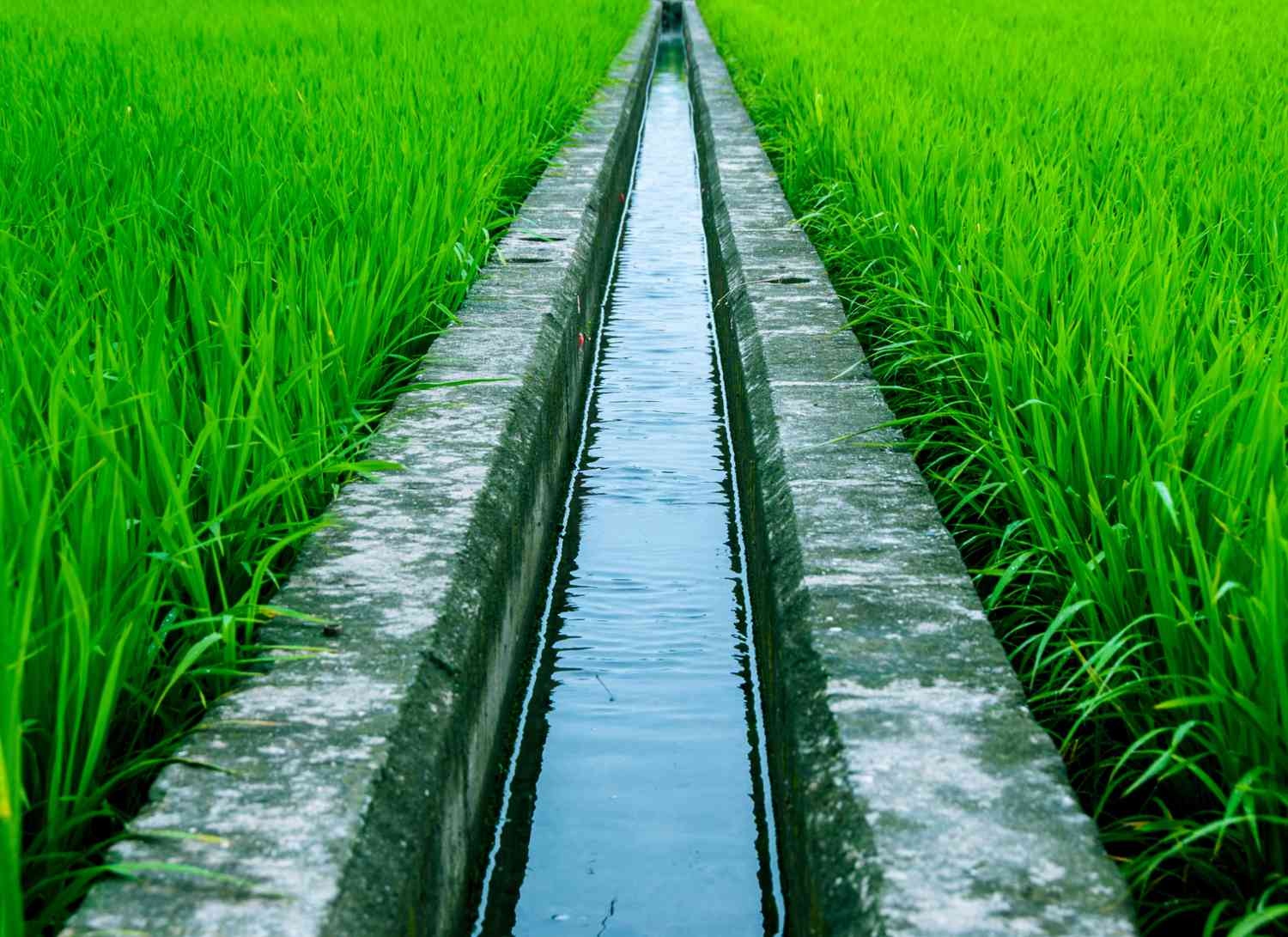 Irrigation Systems, Palm Beach County Gutter Drainage Contractors